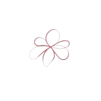 transparent (5)